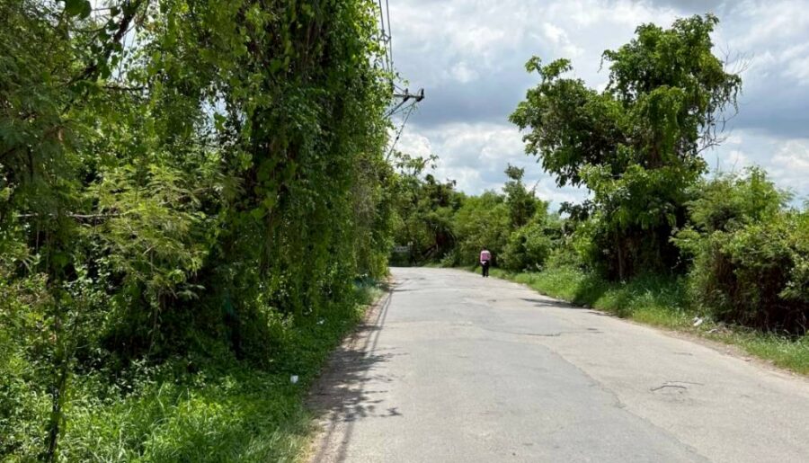 ขายที่ดิน 4 ไร่ บางกระดี่ 19 ราคา 40 ล้าน