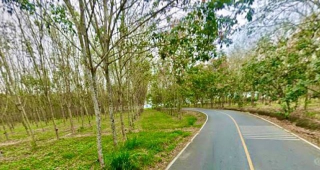 ขายที่ดินหนองเสือช้าง หนองใหญ่ ชลบุรี