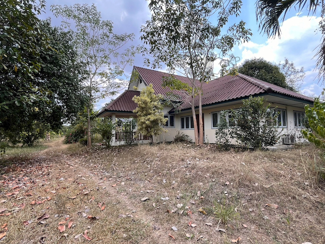 บ้าน3หลัง พร้อมสวนผลไม้ เดินทางสะดวก 10 ไร่ 116 ตร.วา เพชรบุรี