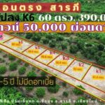 ขายที่ดิน48-62ว.เริ่ม301,000บ. ผ่อนได้ ต.ขัวมุง อ.สารภี เชียงใหม่