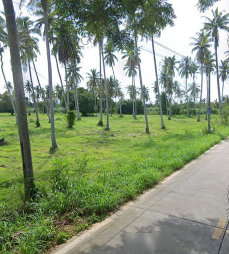 ที่ดินเปล่า ติดถนน 3 ด้าน ห่างจากถนนชบ. 1008 แค่ 400 เมตร