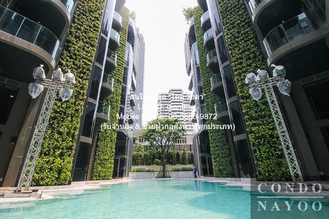 ให้เช่าคอนโดเลี้ยงสัตว์ได้ (Pet friendly) แอชตัน เรสซิเดนซ์ 41