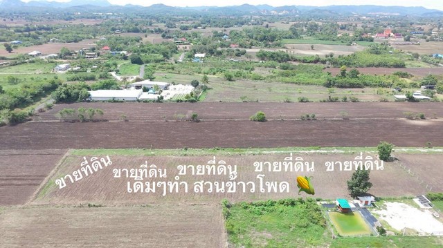 ขายที่ดินโฉนดครุฑแดงสระบุรีตำบลเขาดินพัฒนา1ไร่ราคา7แสน5หมื่นบาท