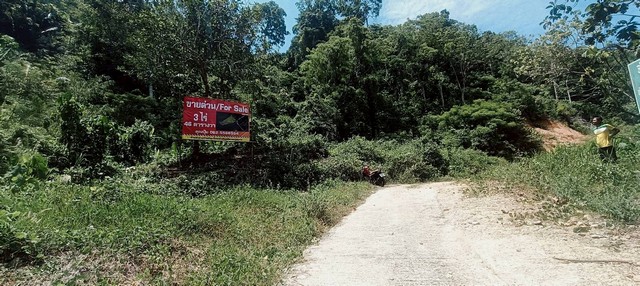 ขายที่ดินอำเภอกะทู้ ภูเก็ต…ใกล้พิพิธภัณฑ์เหมืองแร่กระทู้