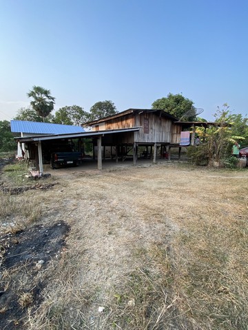 หน้าฝนมีทรัพย์ดีเสดชื่น ขายบ้าน262วา ต.โพทะเล อ.ค่ายบางระจัน.สิงห