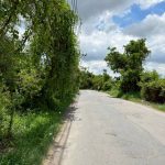 ขายที่ดิน 4 ไร่ บางกระดี่ 19 ราคา 40 ล้าน