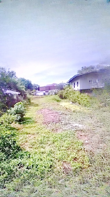 เจริญพัฒนา ที่ดิน 200 ตร.วา.MRT เศรษฐบุตรบำเพ็ญ 1.6 กม.พระยาสุเรน