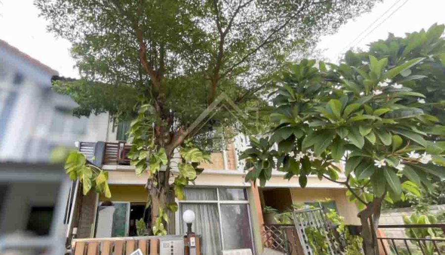 ทาวน์เฮ้าส์ 2 ชั้น หมู่บ้าน พฤกษาวิลล์ 10 เพชรเกษม – พุทธมณฑลสาย