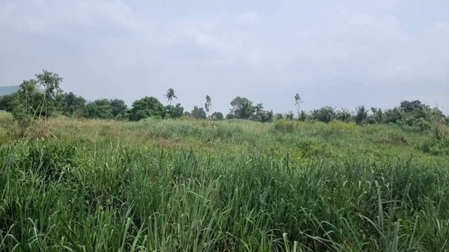 ขายที่ดินหุบบอน ศรีราชา ชลบุรี
