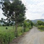 ขายที่ดินหนองข้างคอก ชลบุรี