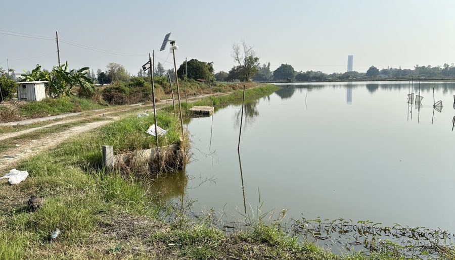 ขายที่ดินแปลงใหญ่ ทำเลทอง ใกล้ ABAC บางนา จังหวัดกรุงเทพมหานคร