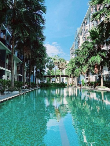 ขาย ICONDO SUKHUMVIT 105ห้องสวยตกแต่งใหม่พร้อมอยู่แยกเป็นสัดส่วน
