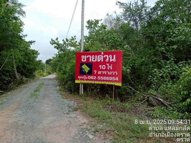 ขายที่ตราดที่เปล่าแหลมกลัดผังเมืองสีเขียวใกล้น้ำตกสะพานหิน