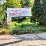 ที่ดินเปล่า 1-1-88.4 ไร่ ต.เมืองปัก อ.ปักธงชัย จ.นครราชสีมา