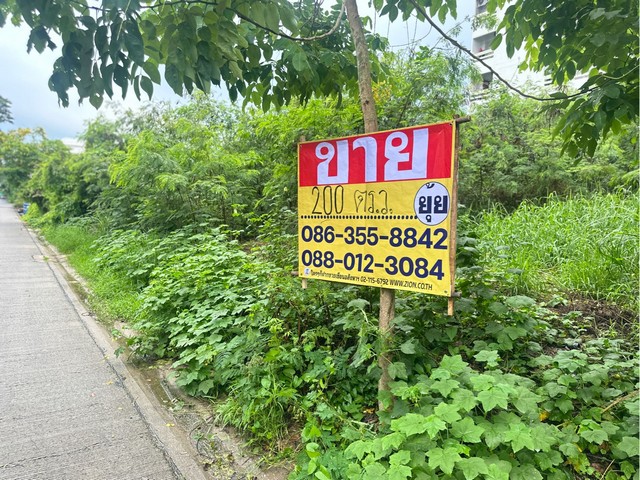 ขายที่ดิน 200ตารางวา ซอยงามวงศ์วาน 43 แยก2-9 ทุ่งสองห้อง หลักส