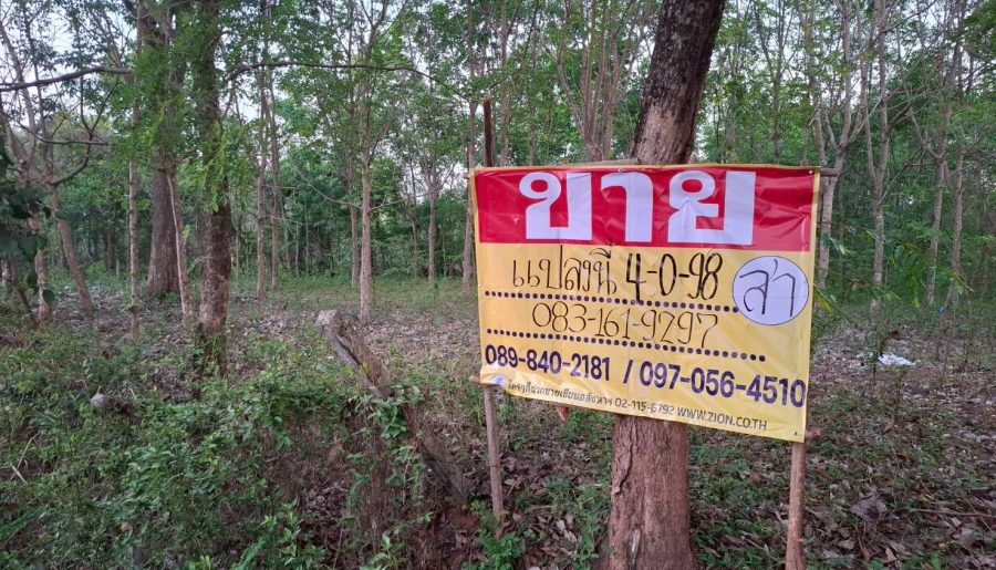 ขายที่ดินราคาถูก 4-0-98 ไร่ ติดถนนลาดยาง บ้านเมืองบาง เมืองหนอ
