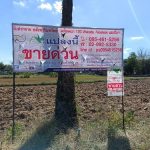 ที่ดิน 3 งาน 78.0 ตรว. ต.ขามทะเลสอ อ.ขามทะเลสอ จ.นครราชสีมา