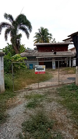 ขายที่ 188 ตรว. ใกล้ทะเลสาบ ในหมู่บ้านวิจิตราธานี