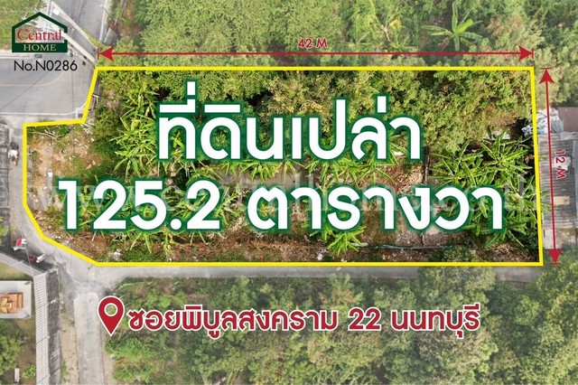 P1 ที่ดินเปล่า 125.2 ตารางวา ซอยพิบูลสงคราม 22 ซอยวัดกำแพง