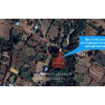 ที่ดินปลูกบ้าน 3 ไร่ ต.พนา อ.พนา จ.อำนาจเจริญ ใกล้ถนนใหญ่