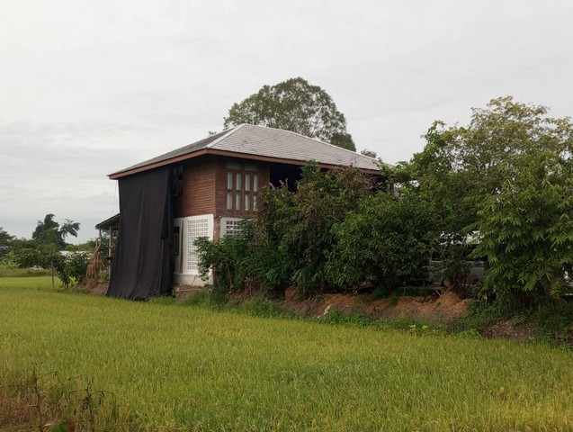 เช่าหรือซื้อยังไงก็คุ้ม ให้เช่าสถานที่ถ่ายทำหนังละคร ไทรน้อย