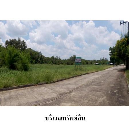ขายที่ดินคลองสามวา เนื้อที่ : 17 ไร่ 2 งาน 53.0 ตร.ว.