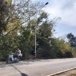 ขายที่ดิน 3-1-20 ไร่ ประโคนชัย บุรีรัมย์ ดินติดชลประทาน