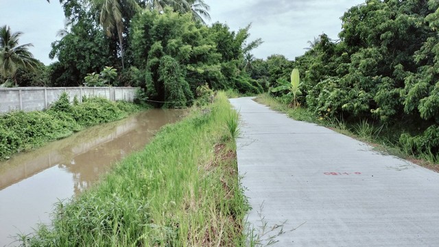 ขายที่ดินสวนลำไย บ้านหนองดู่ ต.บ้านเรือน อ.ป่าซาง จ.ลำพูน