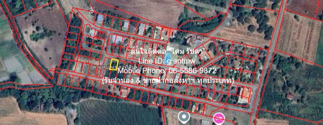 ขายที่ดินในโครงการจัดสรร ปากช่อง เขาใหญ่ (ทางไปวังน้ำเขียว) 100 ต