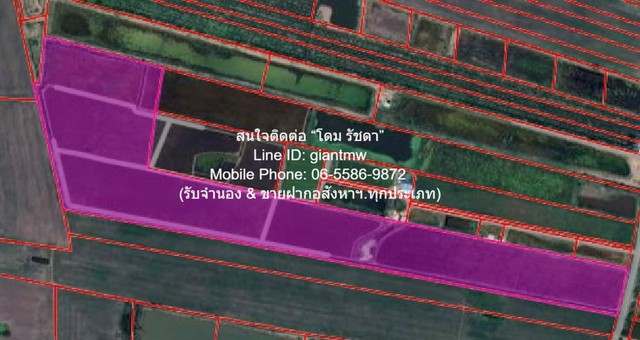 ขายที่ดินทุ่งนา 103-0-44 ไร่ ศรีจุฬา อ.เมืองนครนายก นครนายก