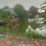 บ้านชั้นเดี่ยว เล่นระดับ 50ตรว. วิวบ่อปลา อยู่อ.บางเลน นครปฐม