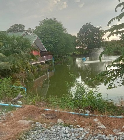 บ้านชั้นเดี่ยว เล่นระดับ 50ตรว. วิวบ่อปลา อยู่อ.บางเลน นครปฐม