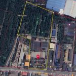 ขายที่ดินติดถนนผังสีม่วงกระทุ่มแบน ติดถนนเส้นหลัก ถนนกว้าง 14 เมต
