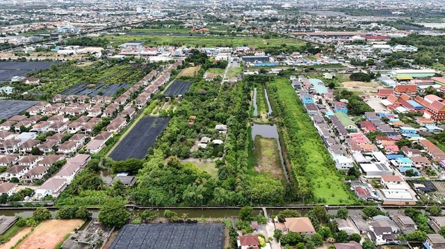 ขายที่ดิน 15-0-93 ไร่ ถนนพุทธมณฑลสาย 3 – บางแวก ภาษีเจริญ