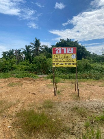 ขายที่ดินสวย 81ตร.วา ซ.วัดกลางอ่างแก้ว ท่าทราย เมืองสมุทรสาคร