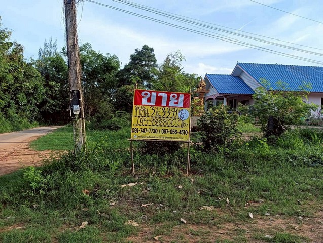 ขายที่ดิน 3 ไร่ ทำเลสวย ติดภูเขา ปากน้ำปราณ ประจวบคีรีขันธ์
