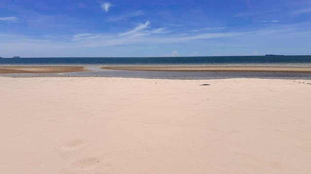 เช่าหรือซื้อไงก็คุ้ม ขายที่สวยติดทะเล ที่ติดชายหาดสะพลี ชุมพร 5.9