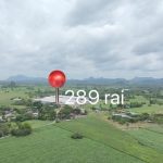 Operational pig farm for sale in Thailand