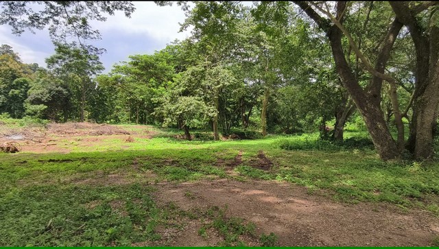 ขายบ้านพูลวิลล่าใหม่ หรูพร้อมสระว่ายน้ำส่วนตัว | โซนหางดง เชียงให